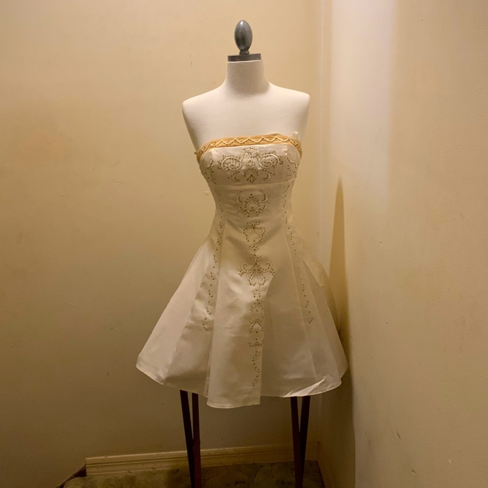 This is a midevil dress worn 3 times strapless and breathtaking